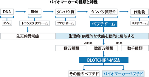 図：バイオマーカーの種類と特性