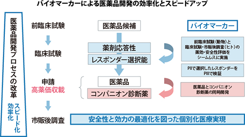 図：バイオマーカーによる医薬品開発の効率化とスピードアップ